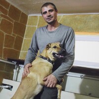 Синди