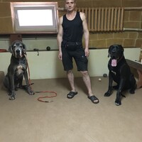 Муха и Добрыня