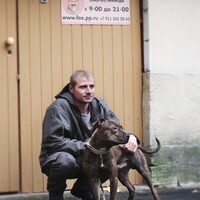 Снуп