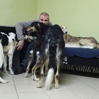 Тайга, Алтай и их доча с сынулей