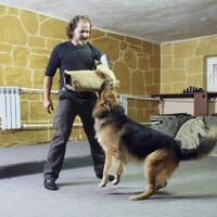 Лис, Юрий