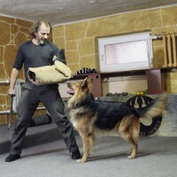 Лис, Юрий