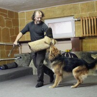 Лис, Юрий