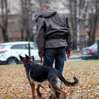 Роки