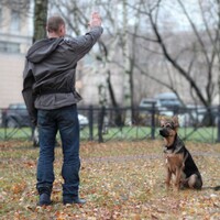 Роки, Василий