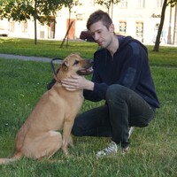 Синди