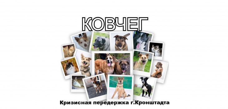 Schutz «Die Arche»